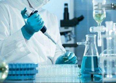 اثبات اثرضدسرطان نانوذرات کلریدسدیم در موش های آزمایشگاهی