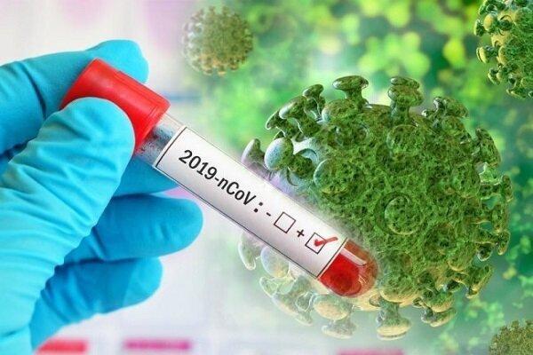 بازگشت محدودیت های جدید کرونایی در سنندج بازگشت محدودیت های جدید کرونایی در سنندج
