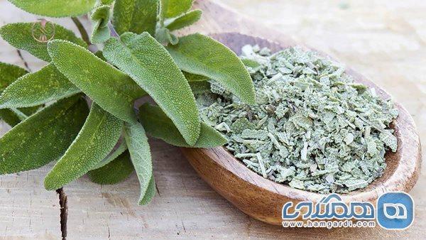 برای افزایش انرژی و تمرکز در پاییز از این گیاهان مصرف کنید برای افزایش انرژی و تمرکز در پاییز از این گیاهان مصرف کنید