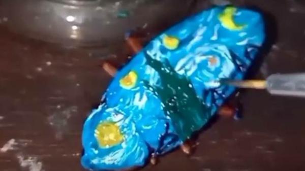 نقاشی روی بدن سوسک ها! نقاشی روی بدن سوسک ها!