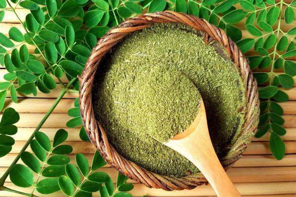 خواص گیاه مورینگا چیست؟ خواص گیاه مورینگا چیست؟