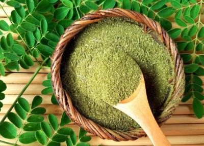 خواص گیاه مورینگا چیست؟
